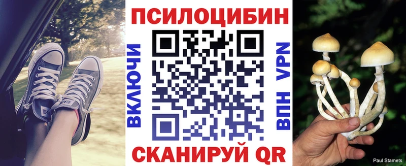 Галлюциногенные грибы мухоморы  Купить  Переславль-Залесский 